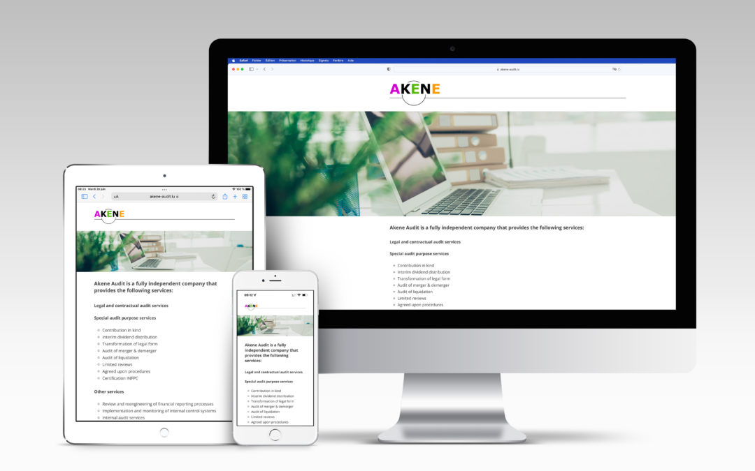 Akene Audit