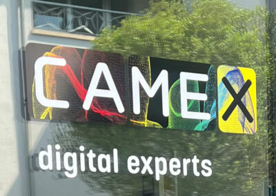 Camex